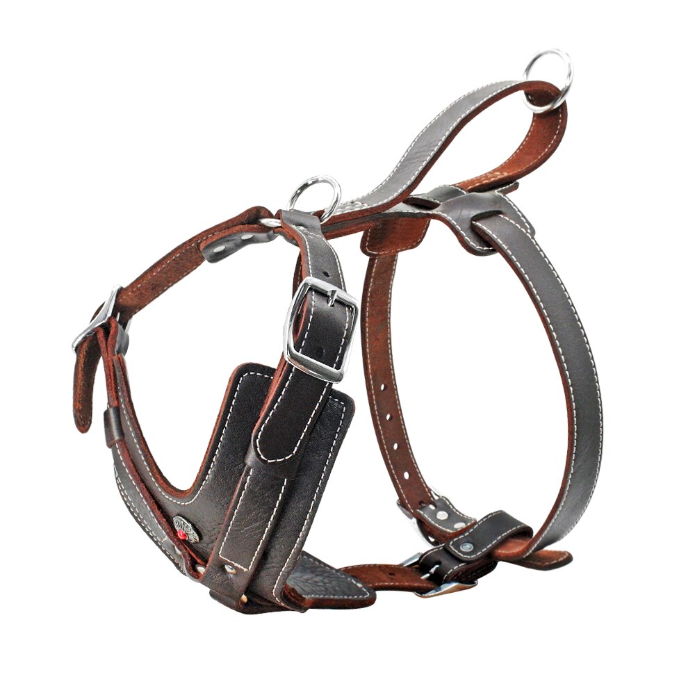 Durable Dog Harness
