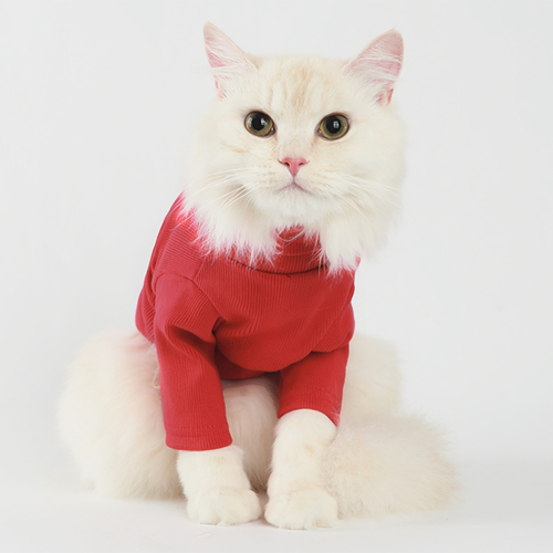 Label Turtleneck Red - BestyPaws