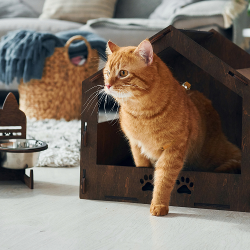 Cat Houses