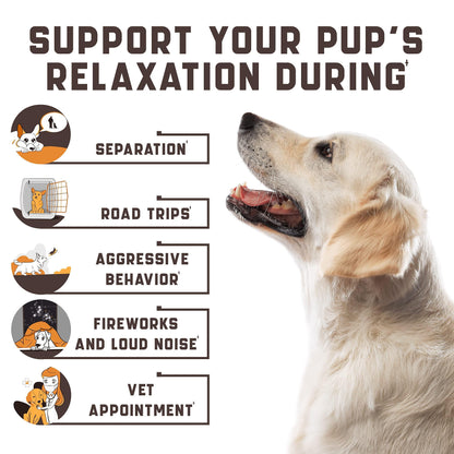 Calming Chews for Labrador Dogs - BestyPaws