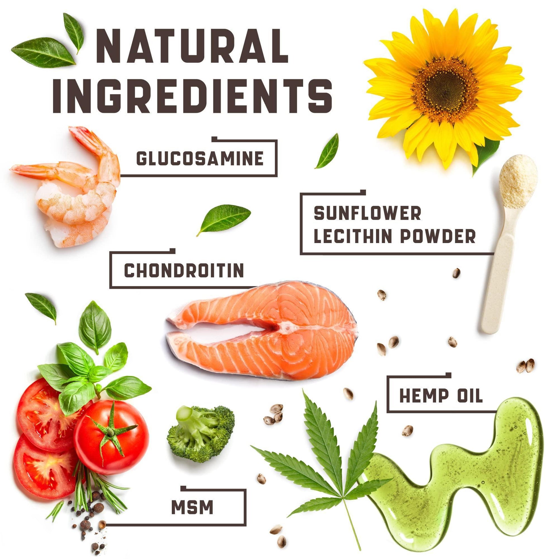 Glucosamine for Dogs - BestyPaws