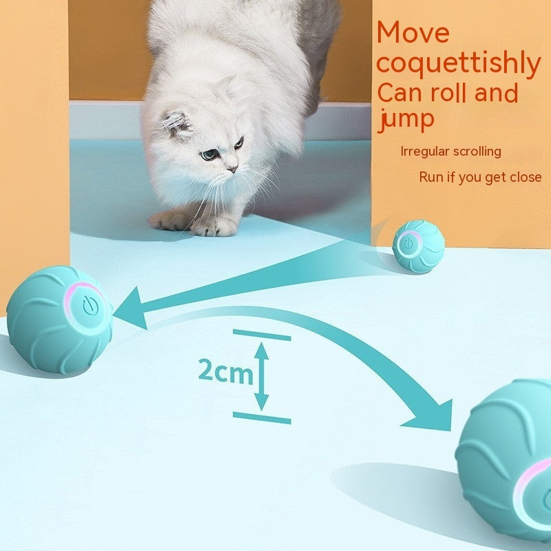 Rolling Ball Interactive Pets Toys - BestyPaws