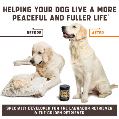 Calming Chews for Labrador Dogs - BestyPaws