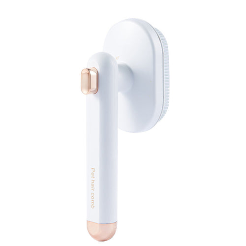 Pet Hair Removal Brush - BestyPaws