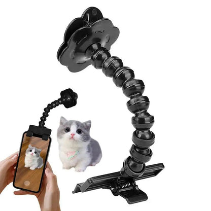 Pet Photography Tool - BestyPaws