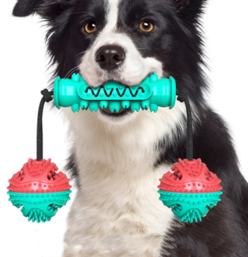 Dog Chew Toys Pet Toothbrush - BestyPaws