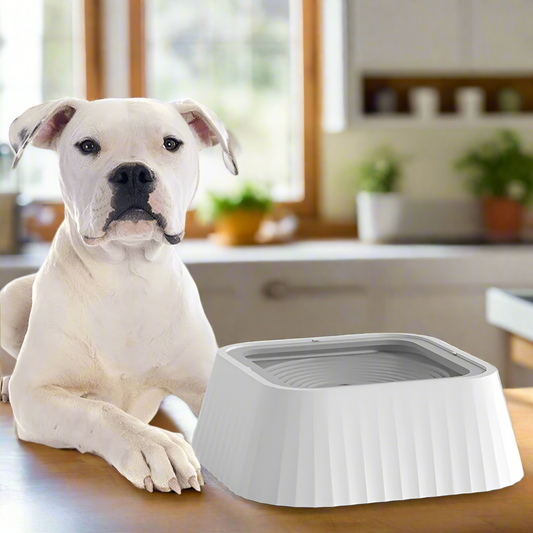 Floating Bowl Water Drinker - BestyPaws