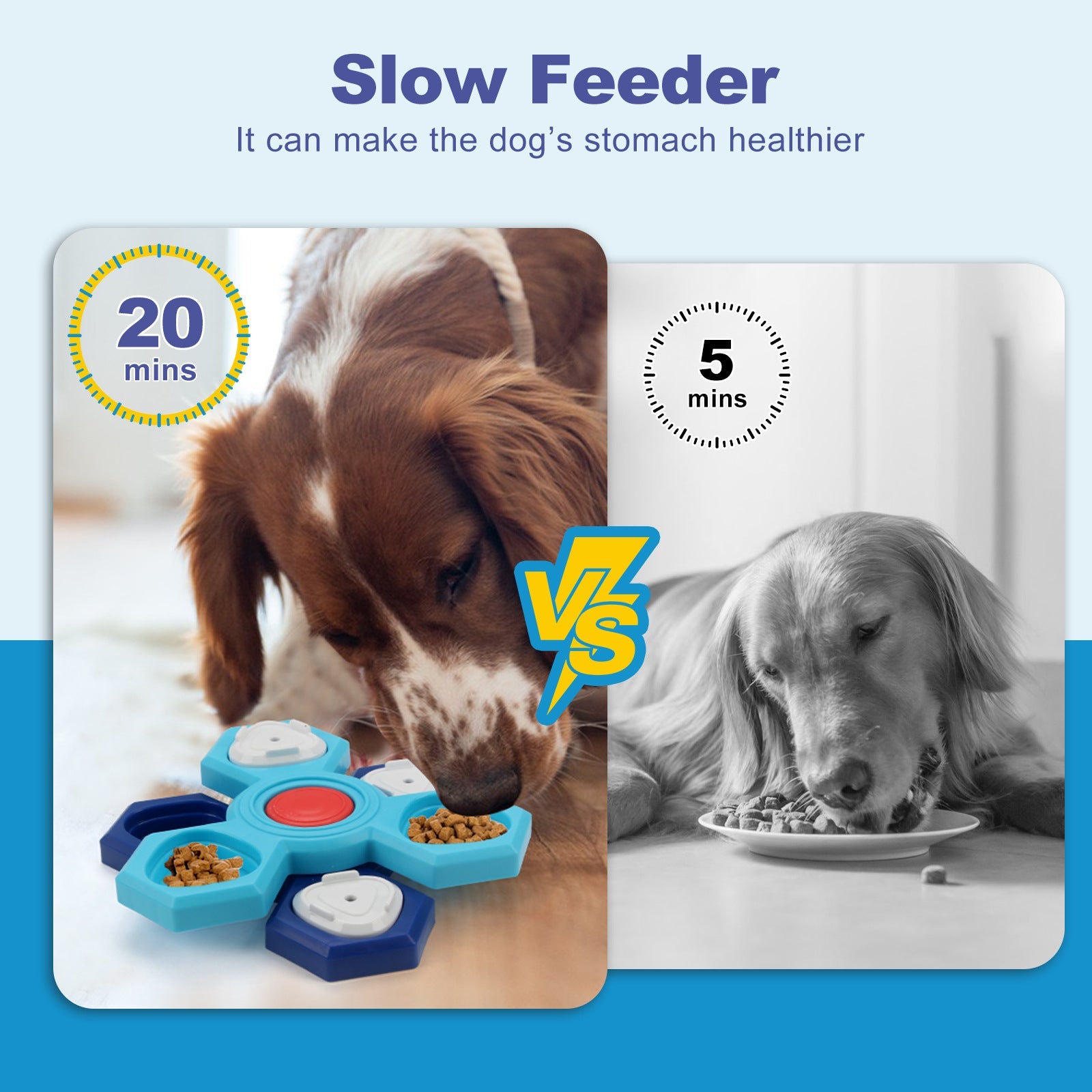 4 Layers Slow Feeder - BestyPaws