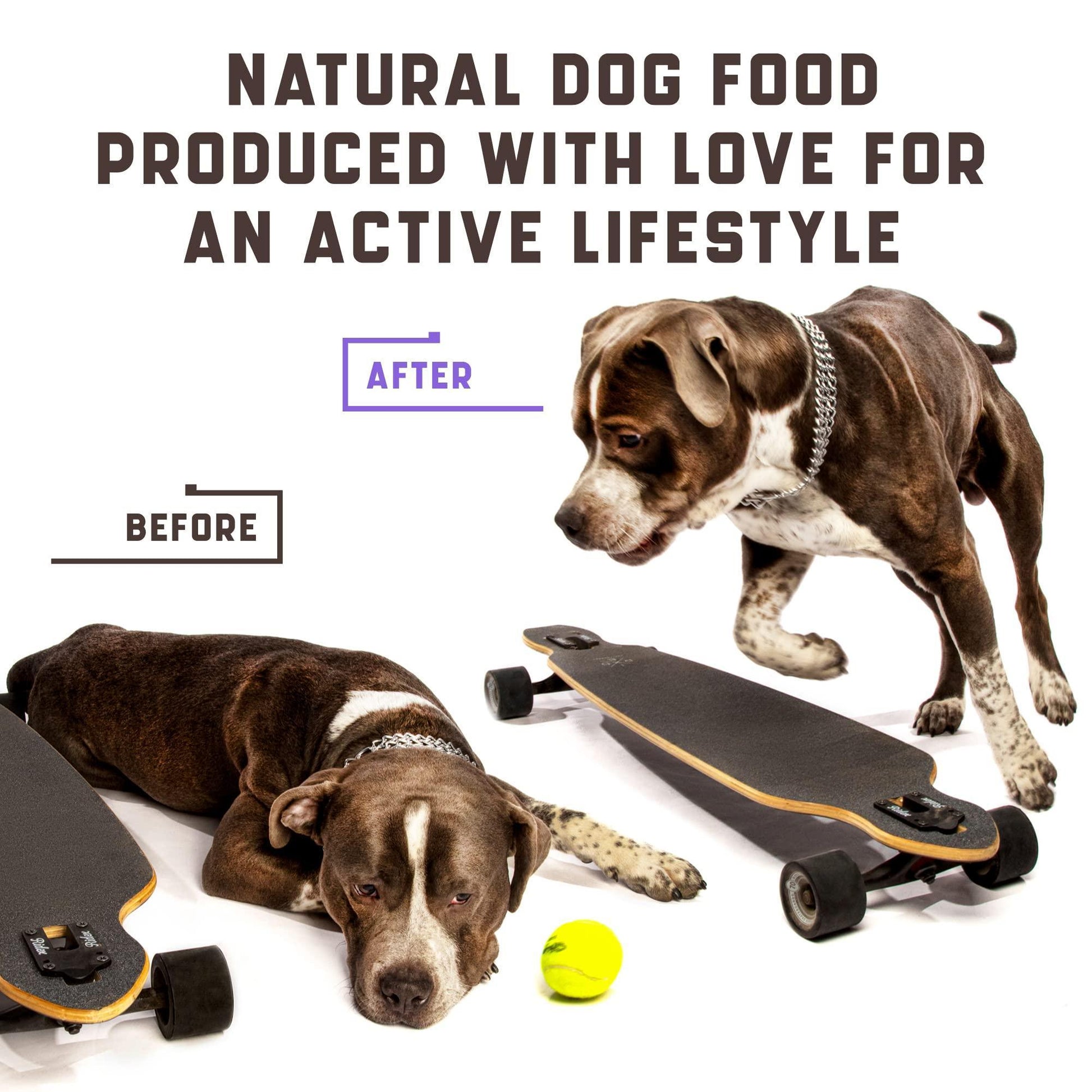 Glucosamine for Dogs - BestyPaws