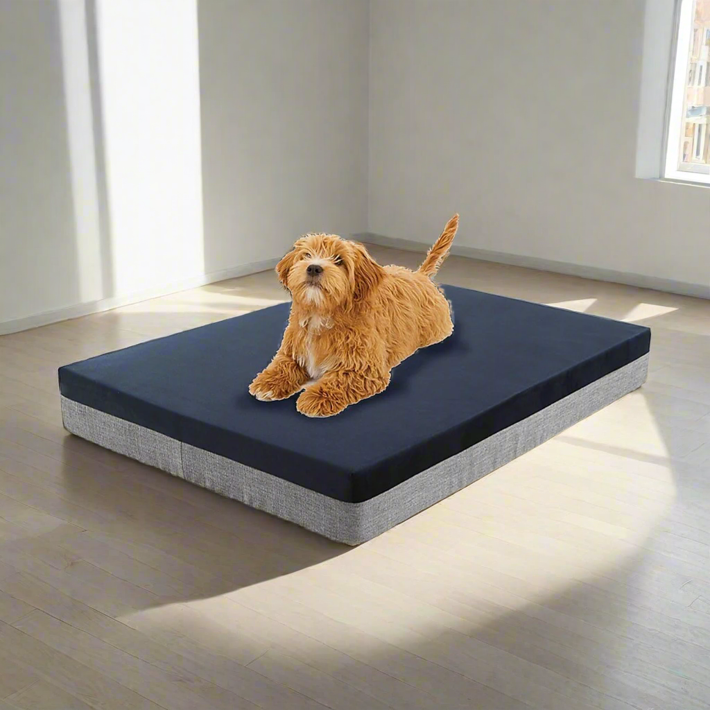 Memory Foam Dog Bed - BestyPaws
