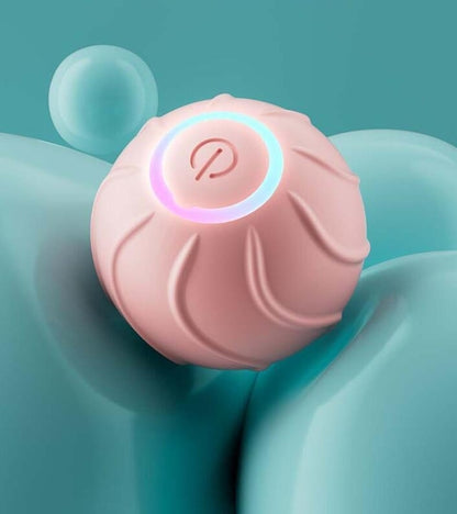 Rolling Ball Interactive Pets Toys - BestyPaws