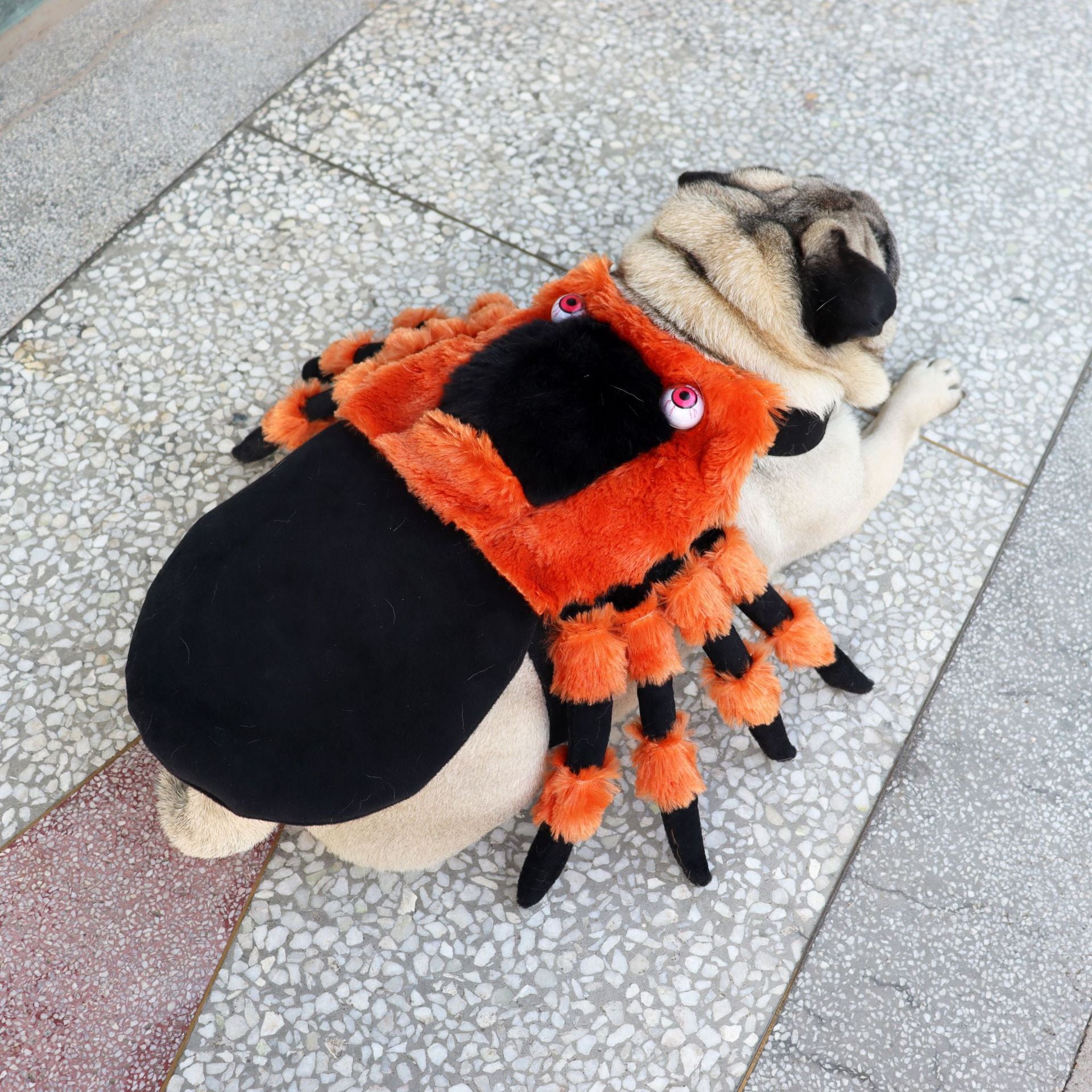 Halloween Spider Pet Costume - BestyPaws