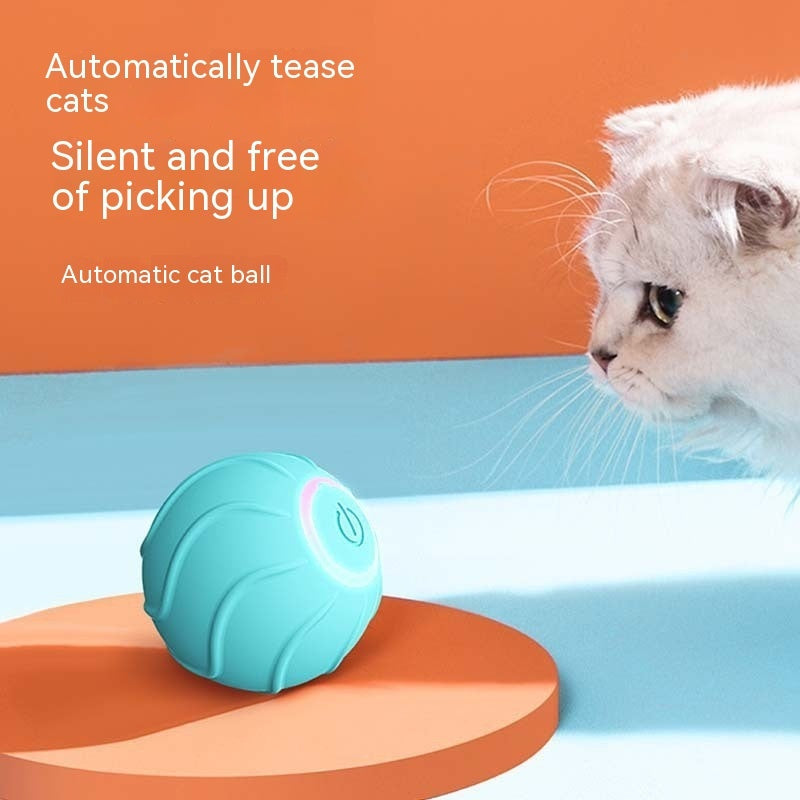 Rolling Ball Interactive Pets Toys - BestyPaws