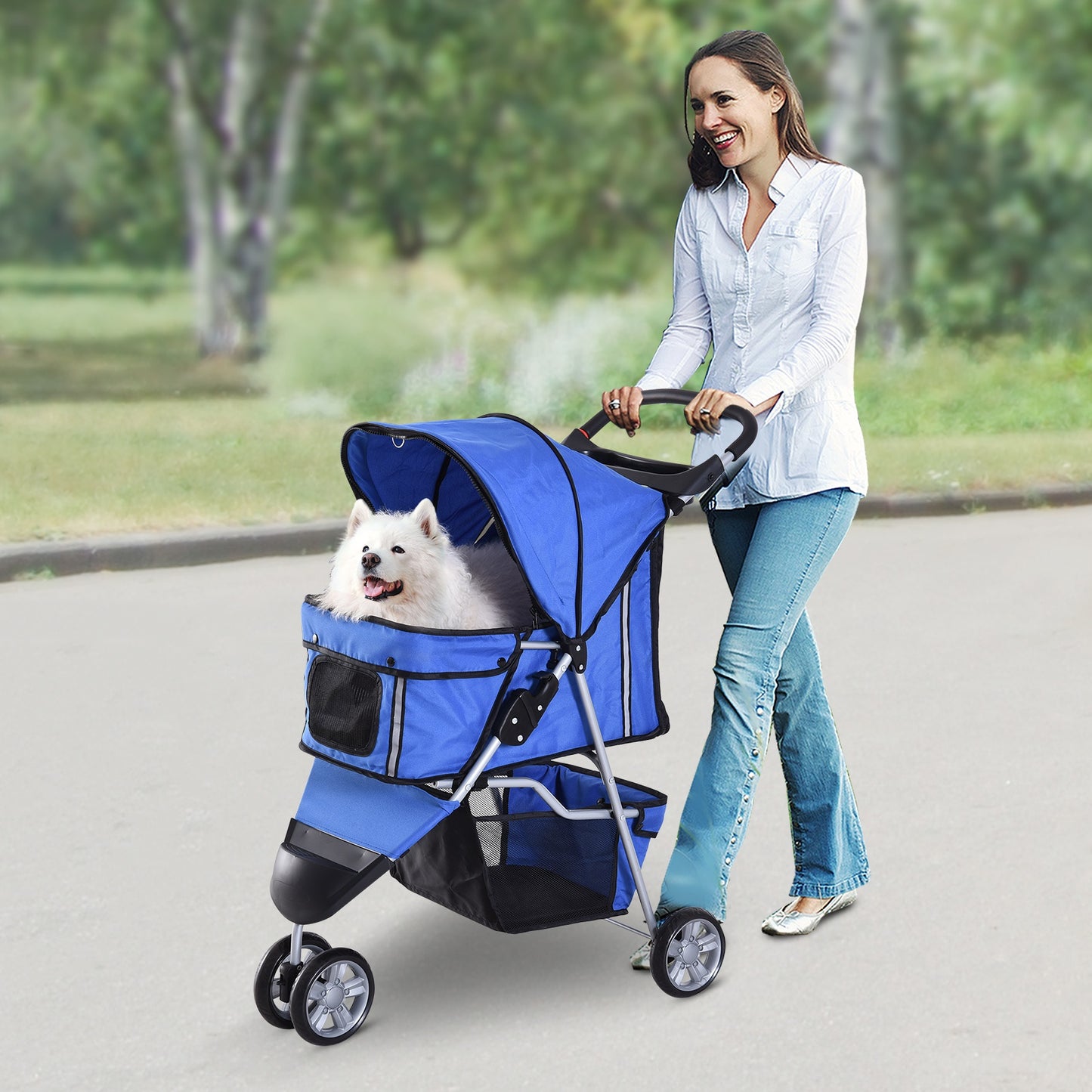 PawHut Pet Travel Carrier