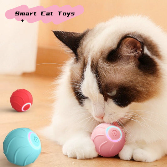 Rolling Ball Interactive Pets Toys - BestyPaws