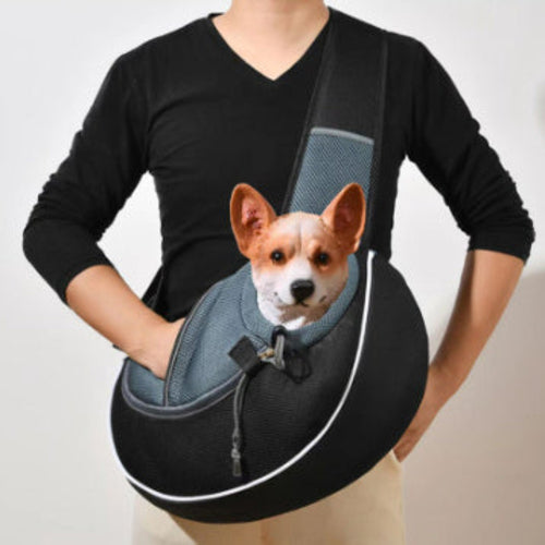 Carrying Pets Bag - BestyPaws