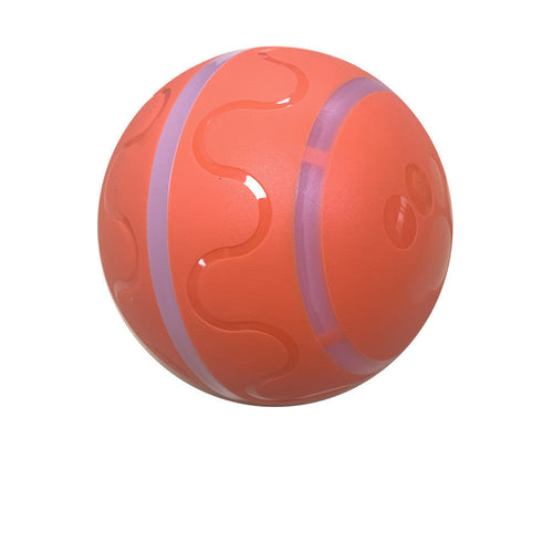 Pet Wicked Ball Toy - BestyPaws