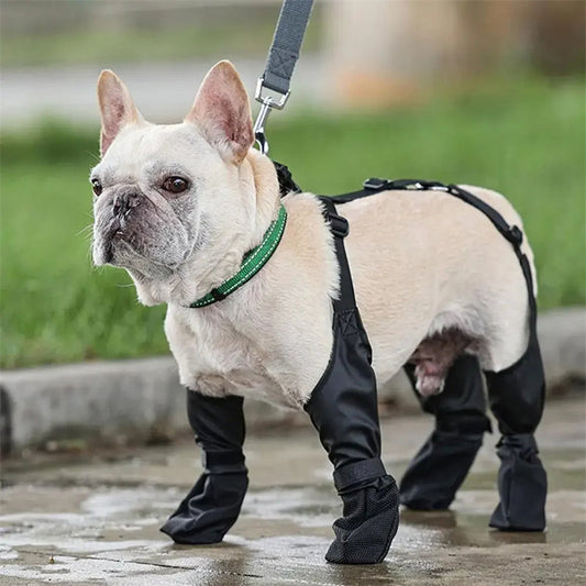 Waterproof Dog Shoes - BestyPaws