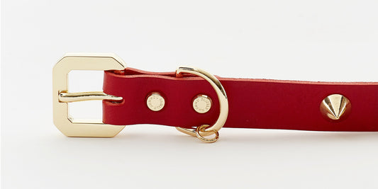 Golden Spike Red Collar - BestyPaws
