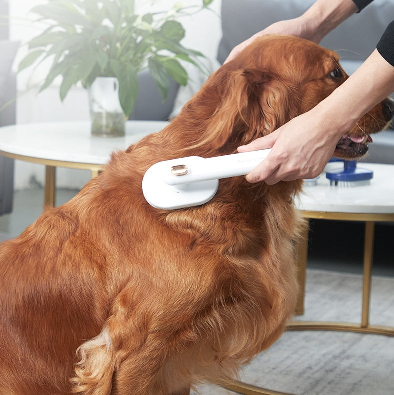 Pet Hair Removal Brush - BestyPaws