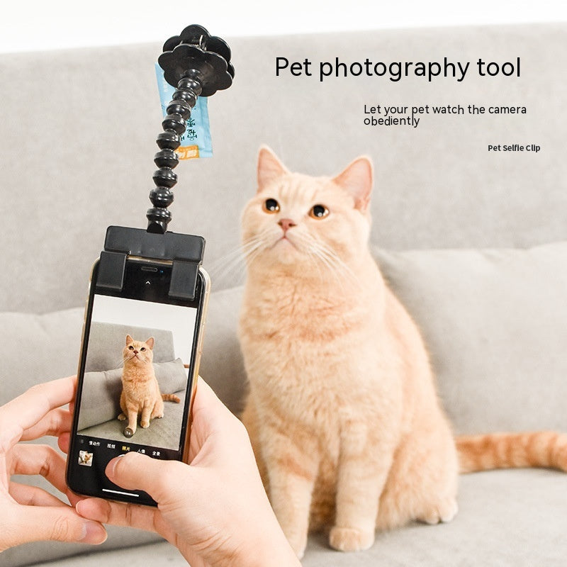 Pet Photography Tool - BestyPaws