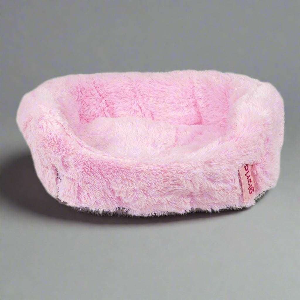 Gloria BABY Pink - BestyPaws