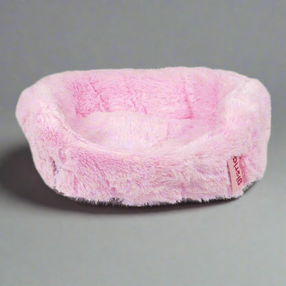 Gloria BABY Pink - BestyPaws