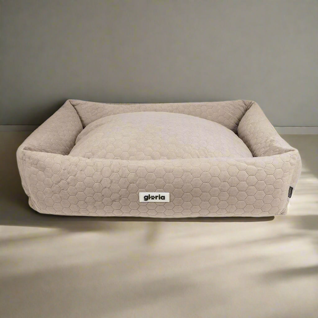 Gloria Sweet Brown - BestyPaws