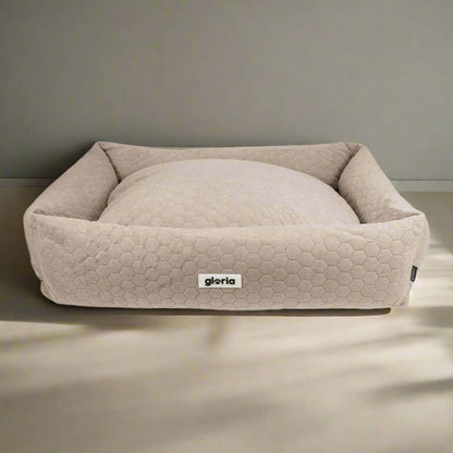 Gloria Sweet Brown - BestyPaws