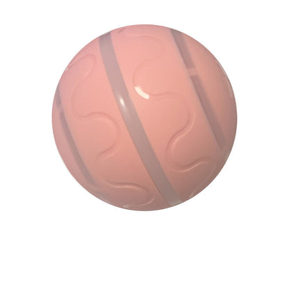 Pet Wicked Ball Toy - BestyPaws