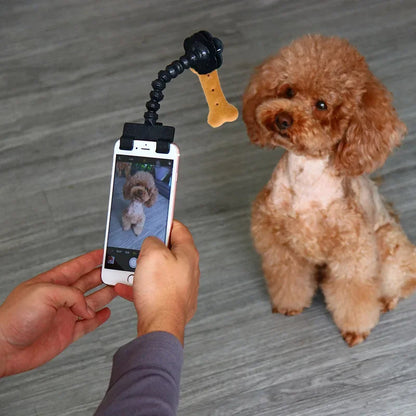 Pet Photography Tool - BestyPaws