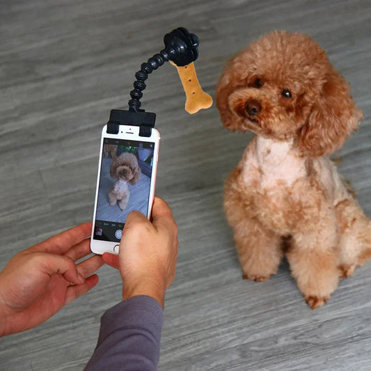 Pet Photography Tool - BestyPaws