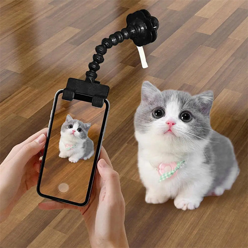Pet Photography Tool - BestyPaws