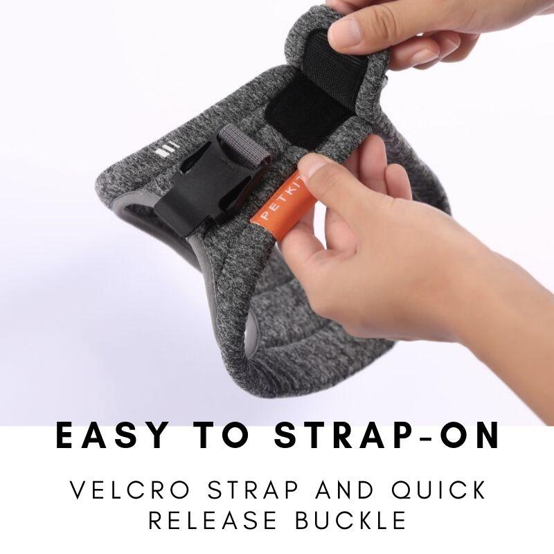 Air Pro Dog Harness - BestyPaws