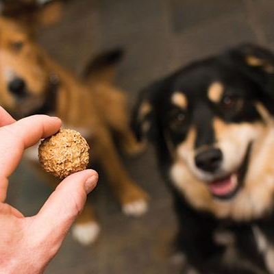 Beer Paws Peanut Butter Biscuits - BestyPaws