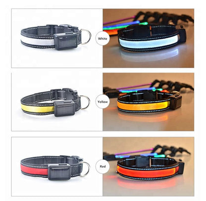 Solar Charge Reflective Led Collar - BestyPaws
