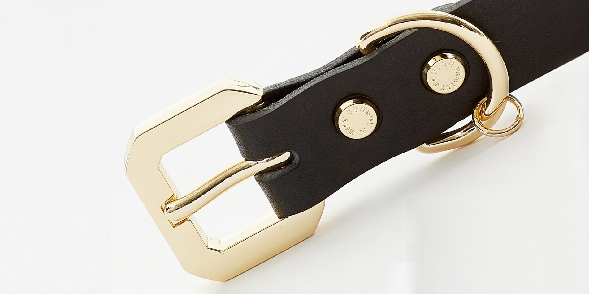 Golden Spike Black Collar - BestyPaws