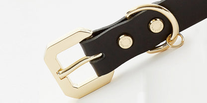 Golden Spike Black Collar - BestyPaws