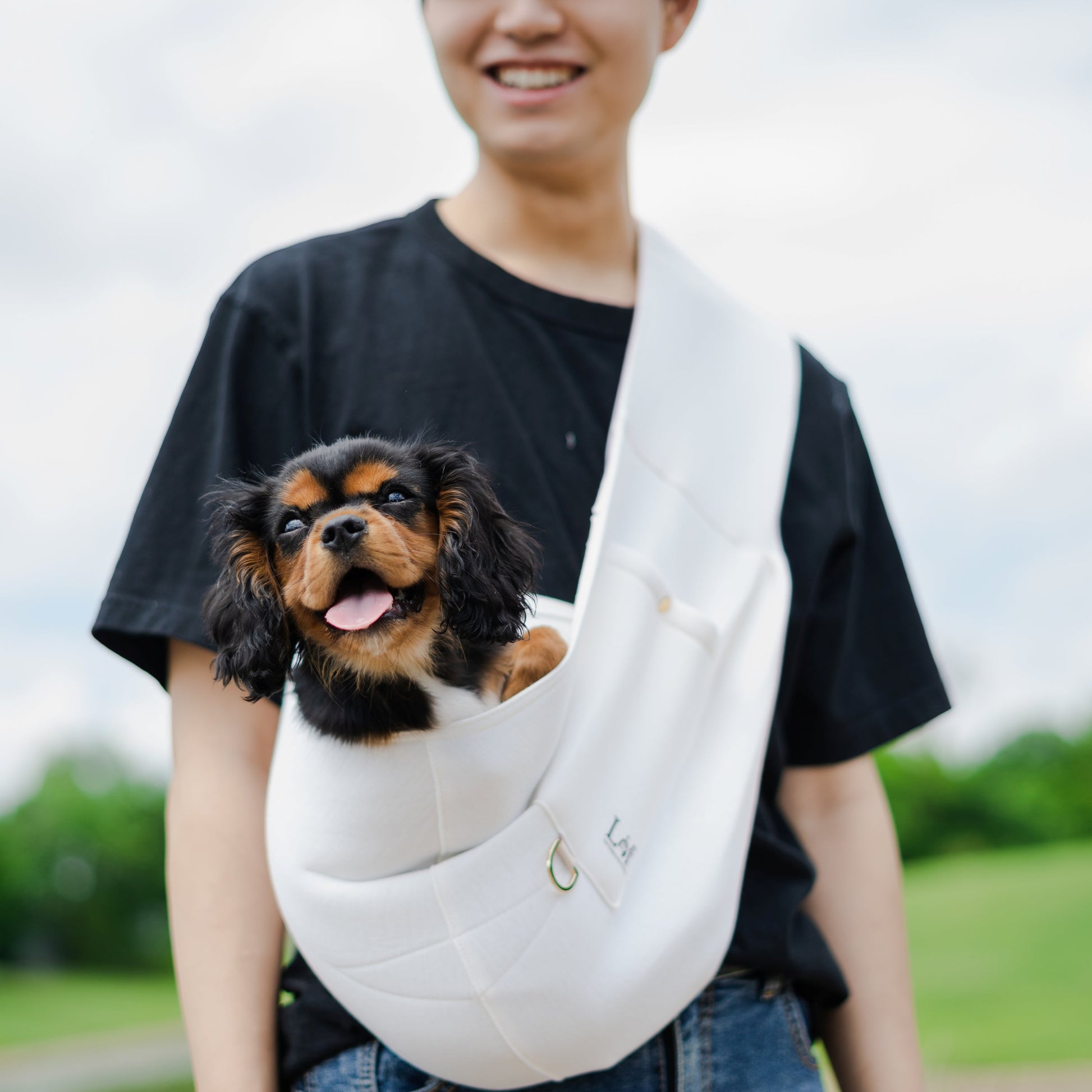 Lof Neoprene Pet Sling Carrier - BestyPaws