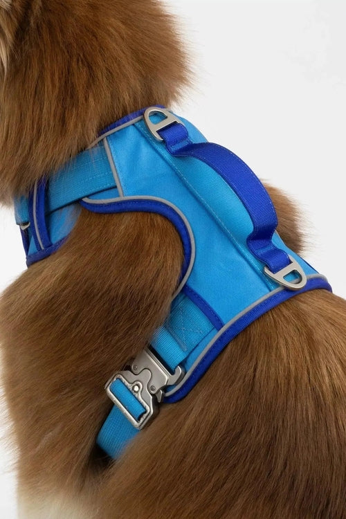 Ultimate Designer Dog Harness - BestyPaws