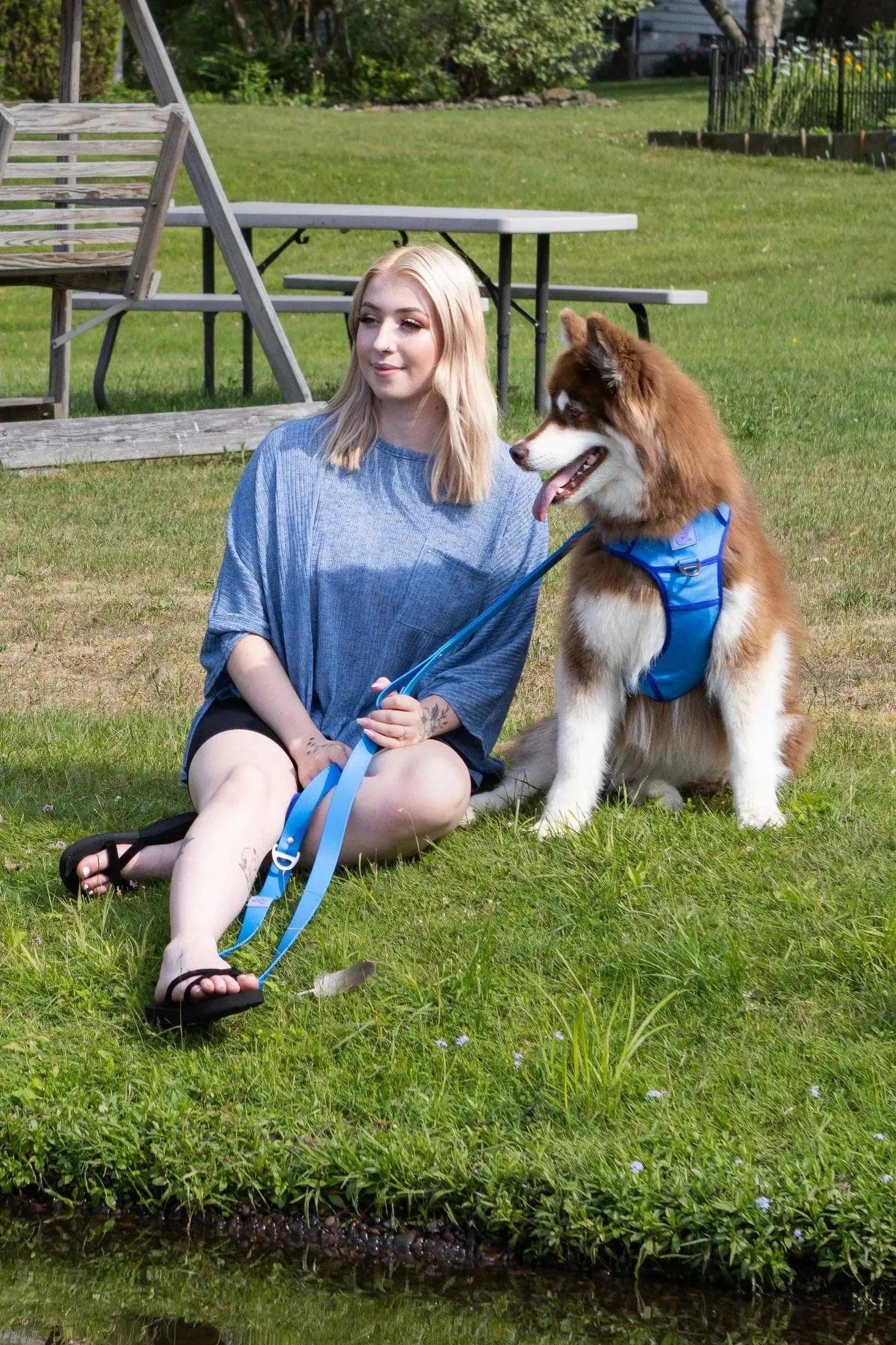 Ultimate Designer Dog Harness - BestyPaws