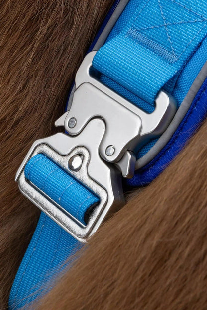 Ultimate Designer Dog Harness - BestyPaws