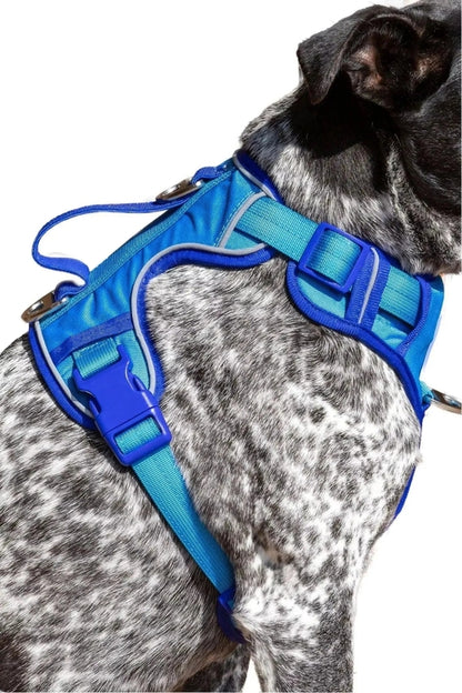Ultimate Designer Dog Harness - BestyPaws