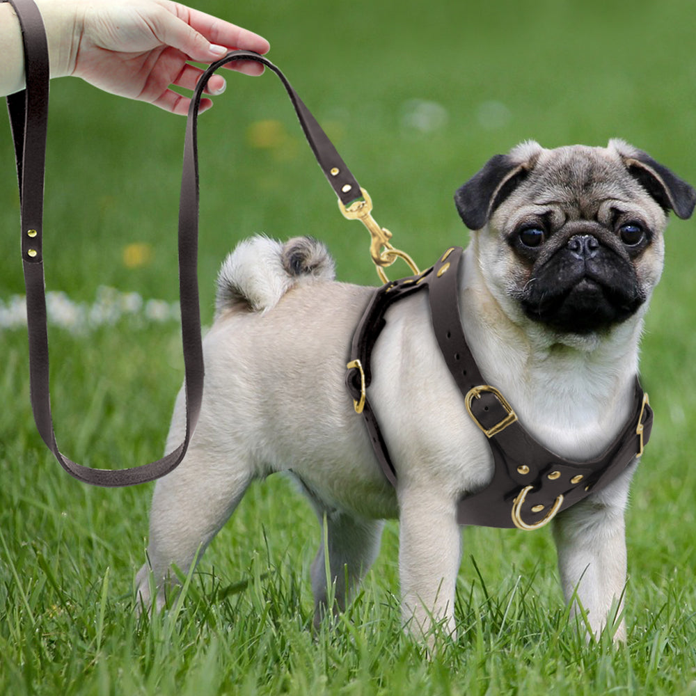 Genuine Leather Pet Harness - BestyPaws