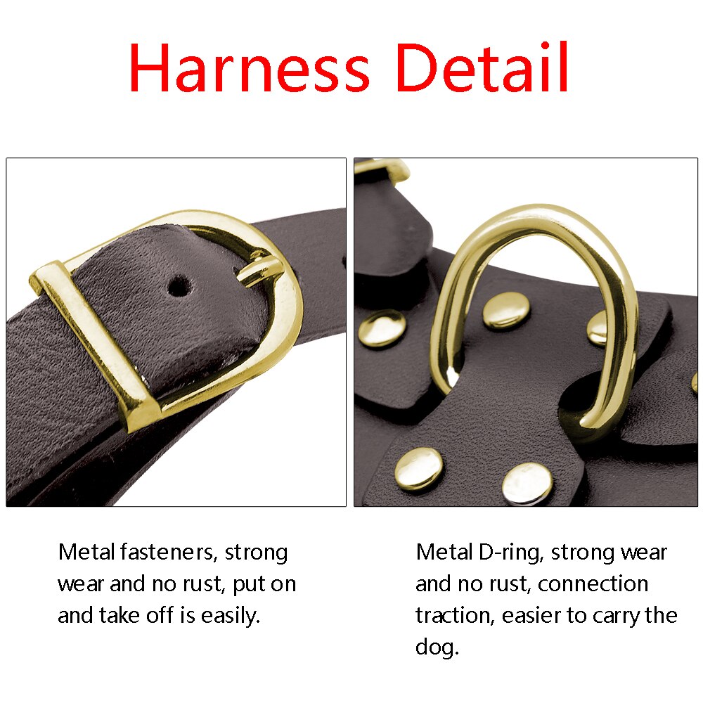 Genuine Leather Pet Harness - BestyPaws