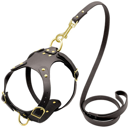 Genuine Leather Pet Harness - BestyPaws