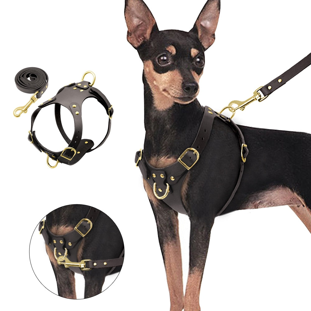 Genuine Leather Pet Harness - BestyPaws