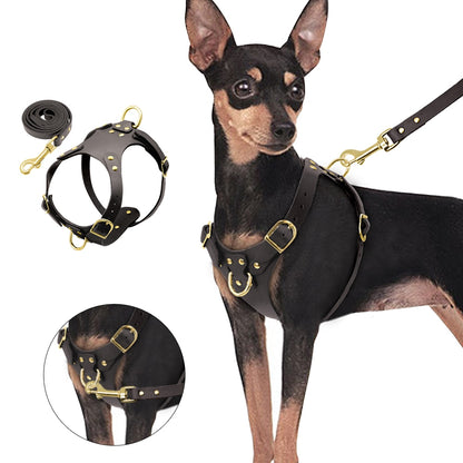 Genuine Leather Pet Harness - BestyPaws