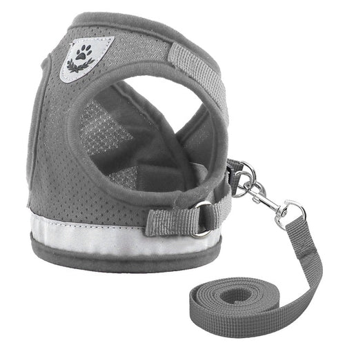 Harness for Chihuahua Pug - BestyPaws