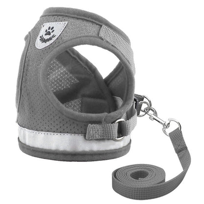 Harness for Chihuahua Pug - BestyPaws
